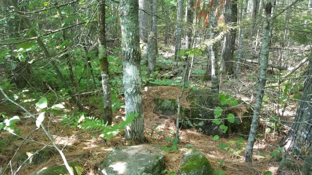 43D Thurlow Road Lincolnville ME 04849