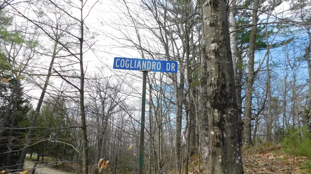 75 Cogliandro Drive Acton ME 04001