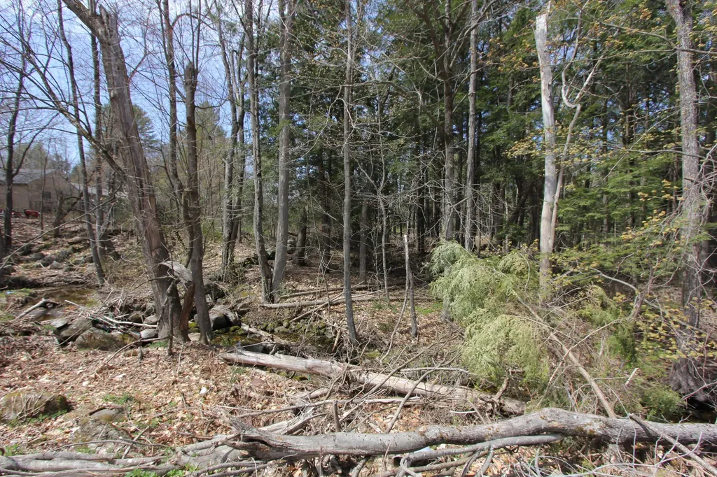 684 Lower Street Turner ME 04282