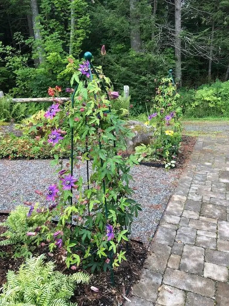 205 & 207 Bruckoff Road Clifton ME 04428