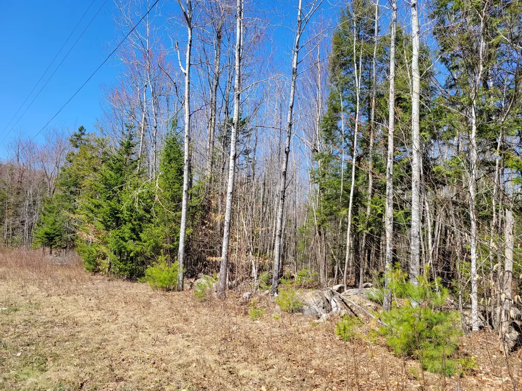 Lot 6 Bear Mountain Way Swanville ME 04915