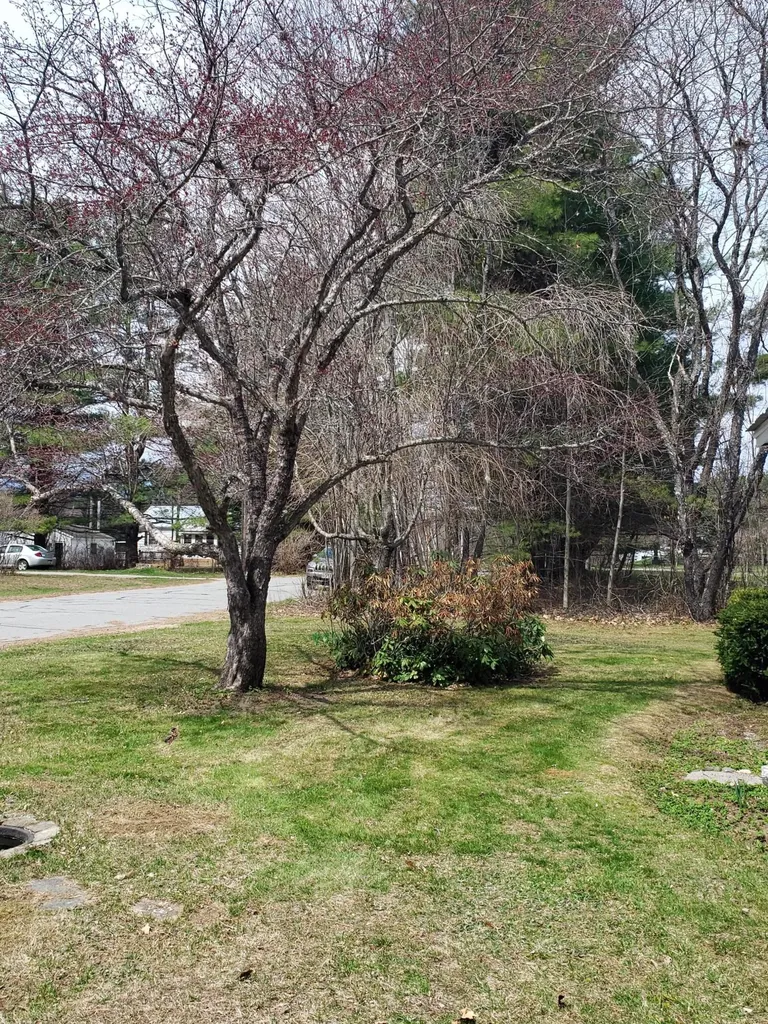 12 Masterman Avenue Wilton ME 04294