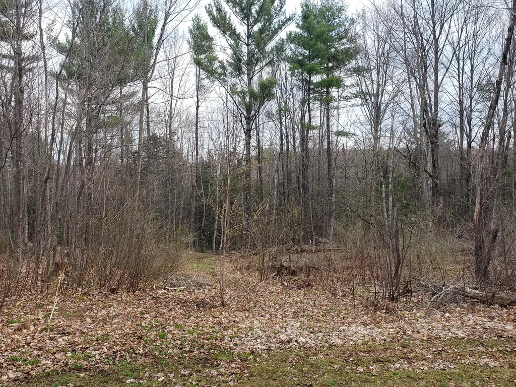 12 Masterman Avenue Wilton ME 04294