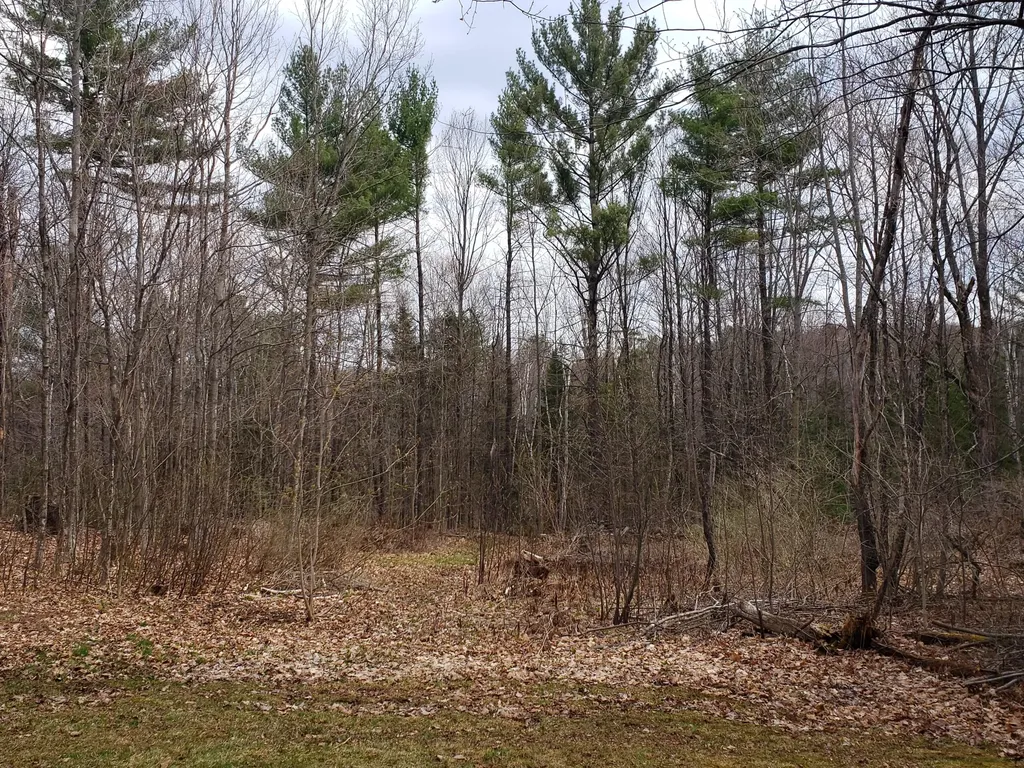 12 Masterman Avenue Wilton ME 04294