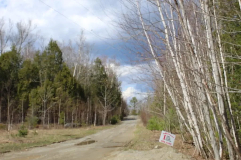 73 Forestry Lane Eddington ME 04428