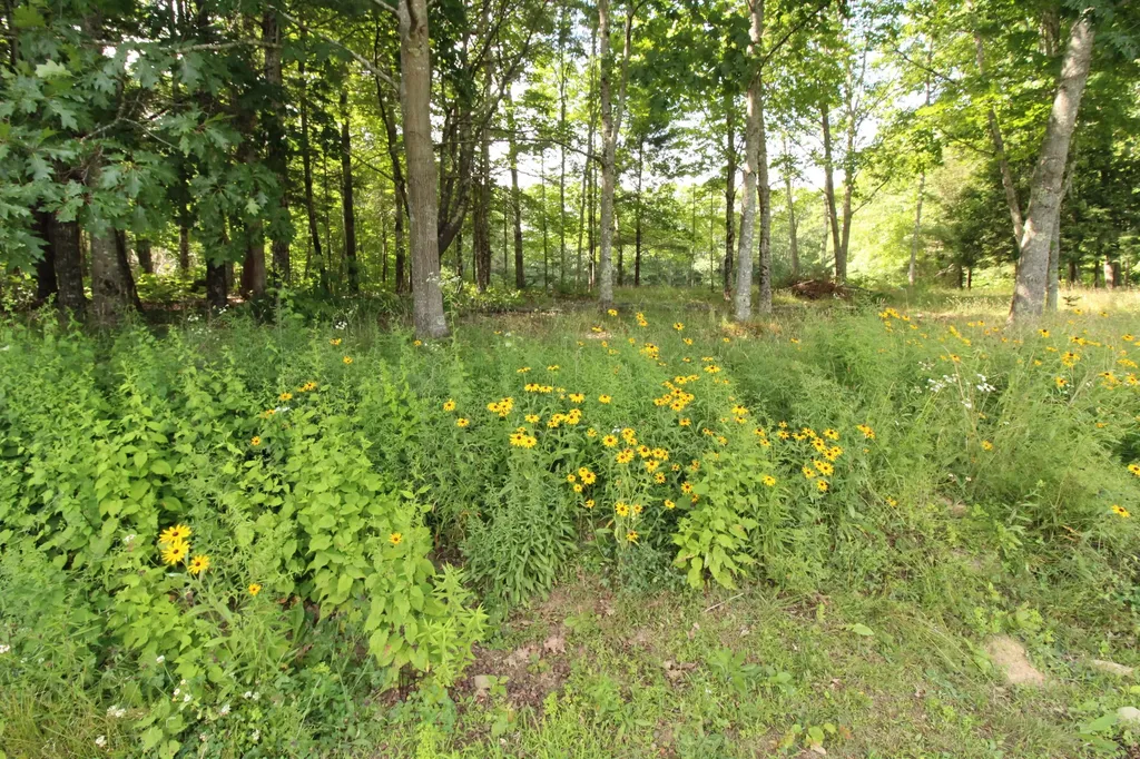 507 Monroe Road Winterport ME 04496