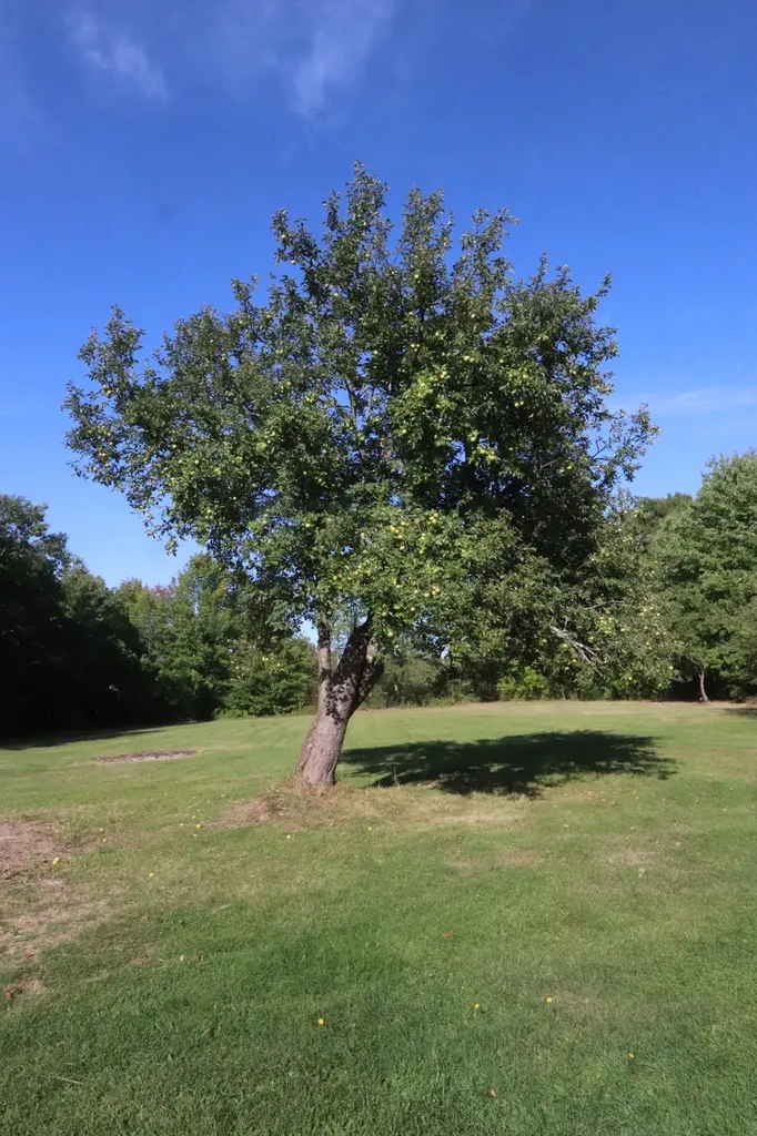 738 Levenseller Road Holden ME 04429