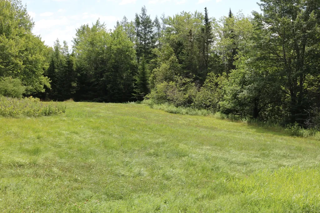 31 Donnell Pond Road Franklin ME 04634