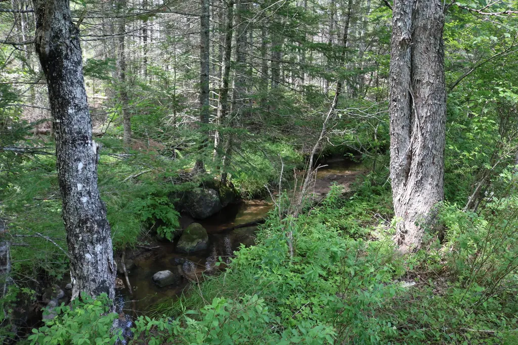 31 Donnell Pond Road Franklin ME 04634