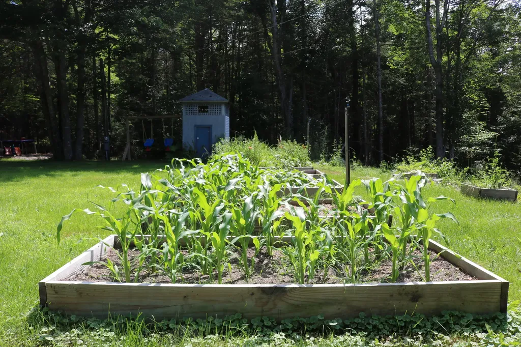 31 Donnell Pond Road Franklin ME 04634