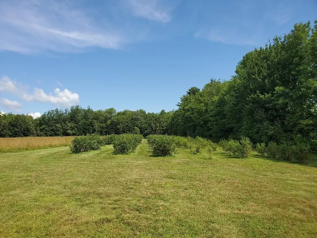 83 Mclaughlin Road Wilton ME 04294