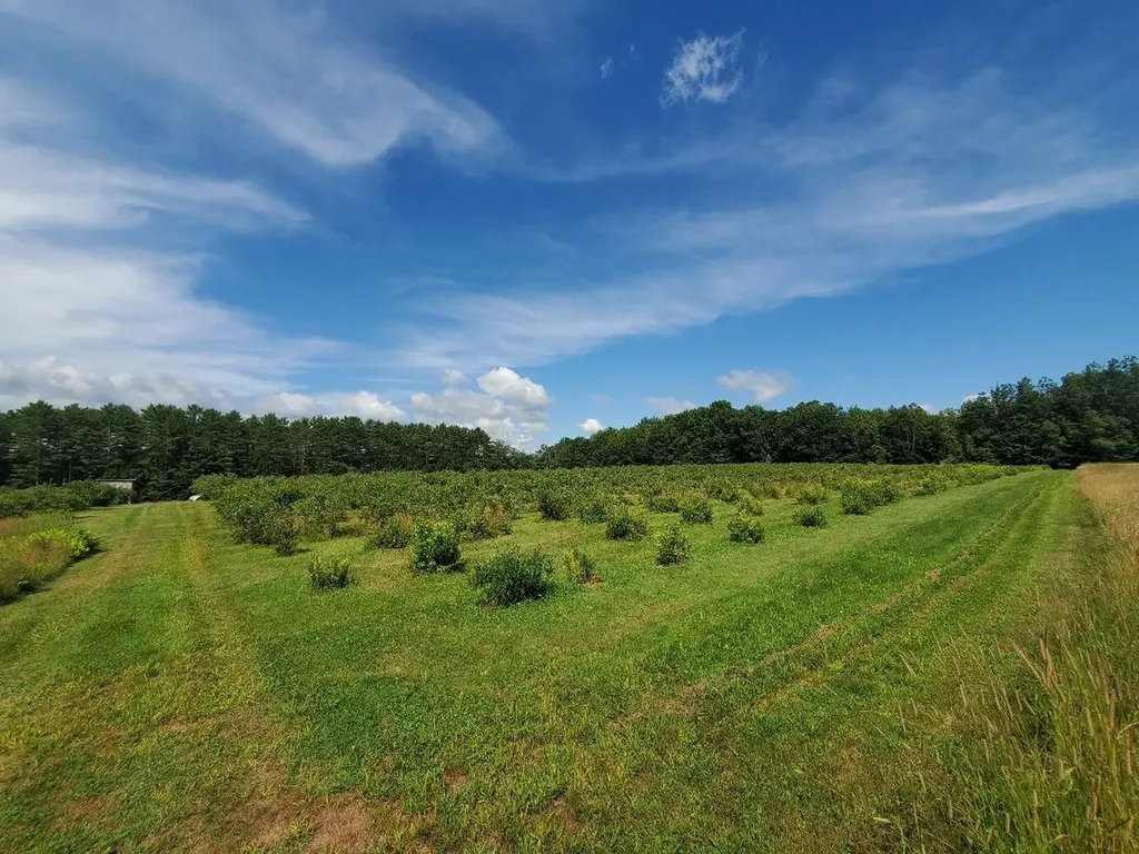 83 Mclaughlin Road Wilton ME 04294