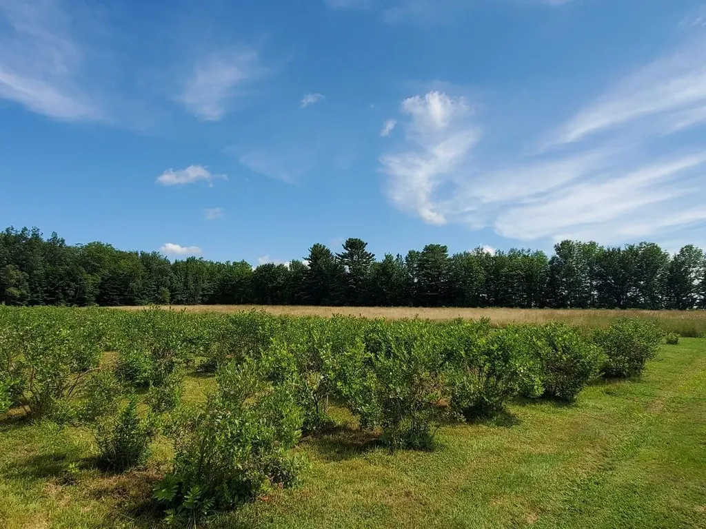 83 Mclaughlin Road Wilton ME 04294