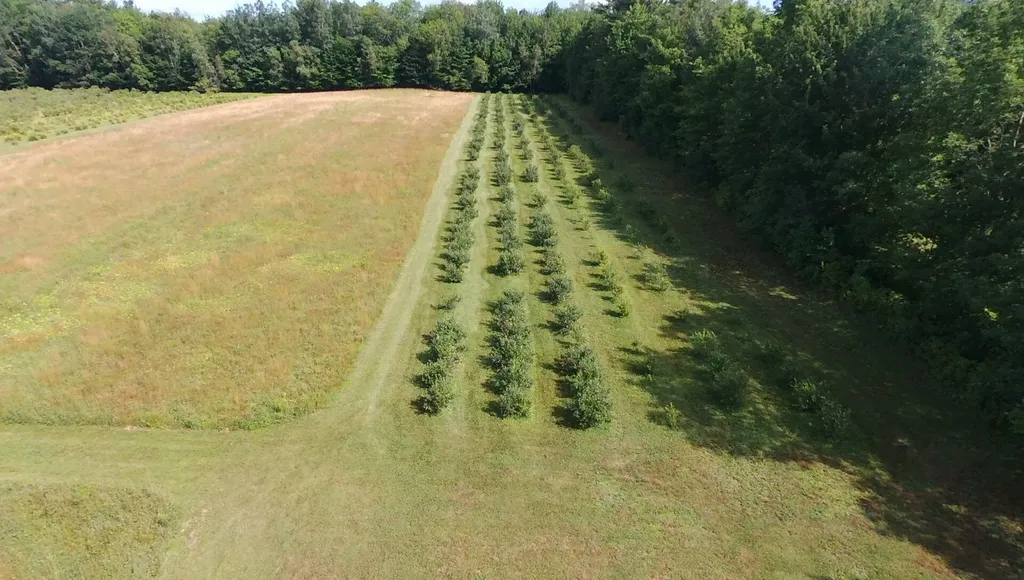 83 Mclaughlin Road Wilton ME 04294