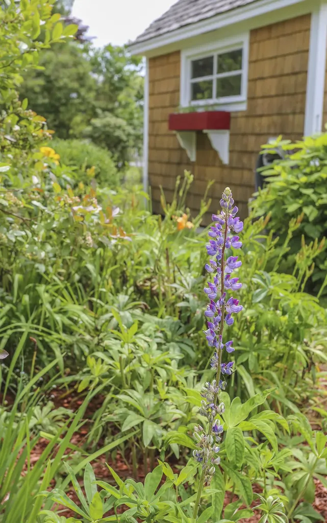 7 Navy Street Searsport ME 04974
