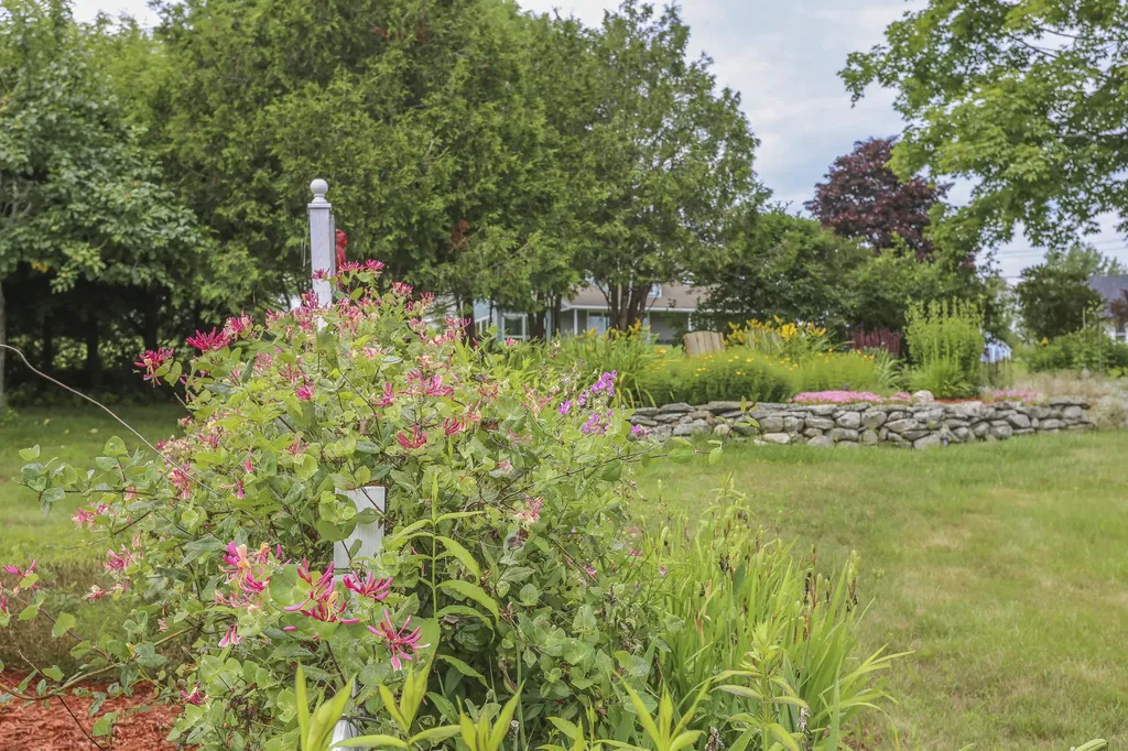 7 Navy Street Searsport ME 04974