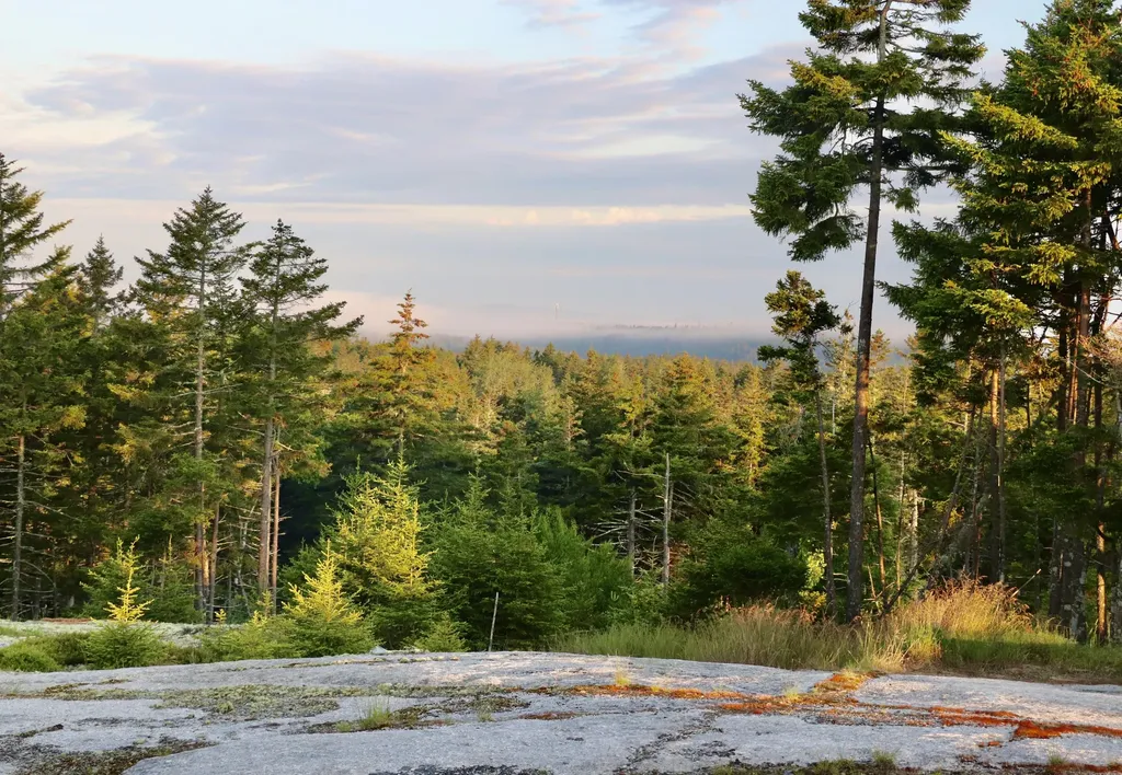 614-A Oceanville Road Stonington ME 04681