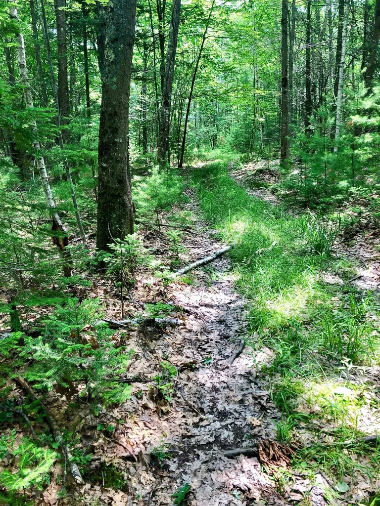 Lot Carriage Road Freeport ME 04032