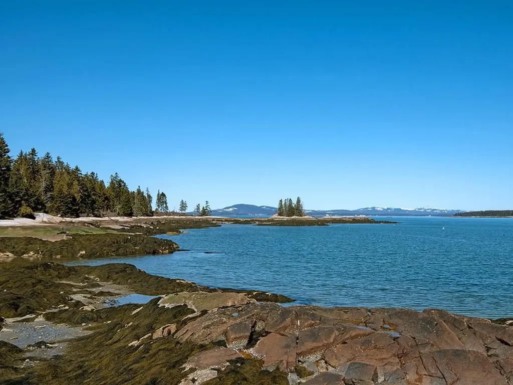 0 Island Retreat Road Swans Island ME 04685
