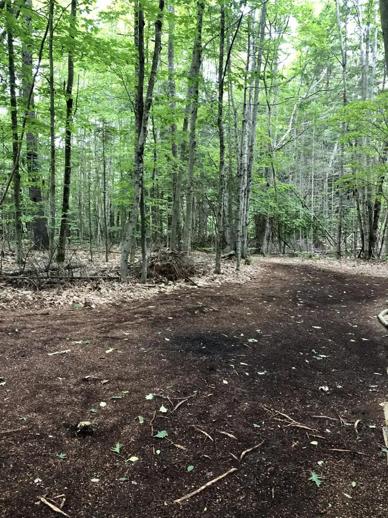 Lot A Pinkham Brook Road Durham ME 04222