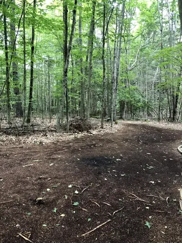 LOT A Pinkham Brook Road Durham ME 04222