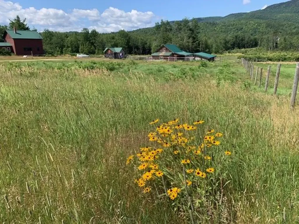 471 Flat Road Bethel ME 04217