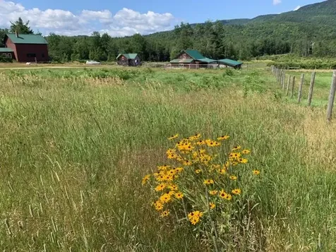 471 Flat Road Bethel ME 04217