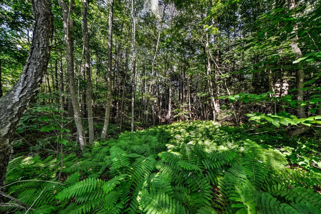 590 River Road Brunswick ME 04011