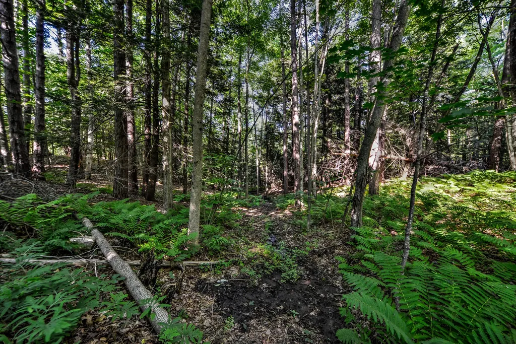 590 River Road Brunswick ME 04011