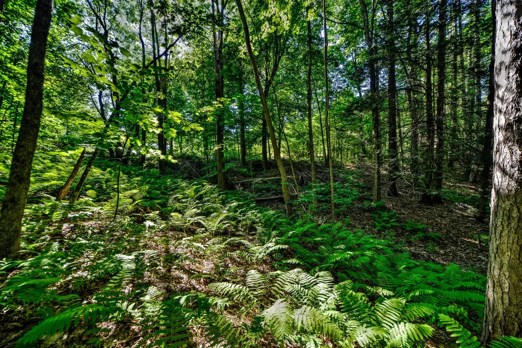 590 River Road Brunswick ME 04011