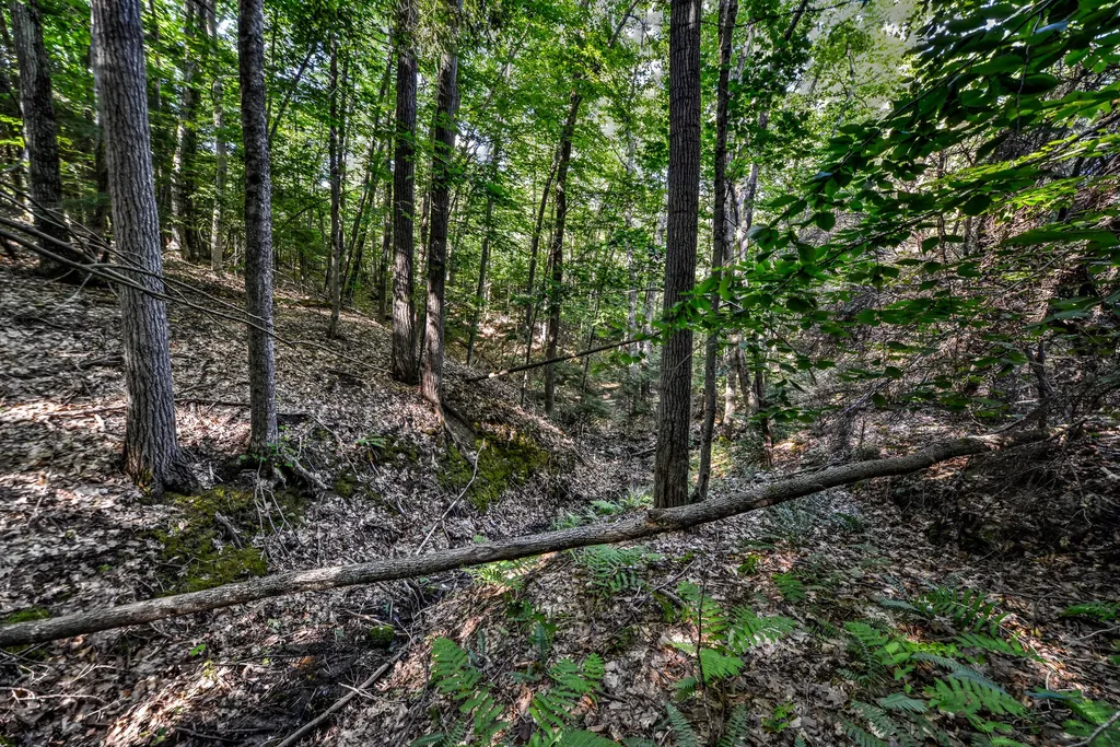 590 River Road Brunswick ME 04011