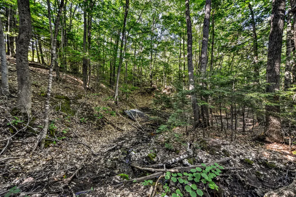 590 River Road Brunswick ME 04011