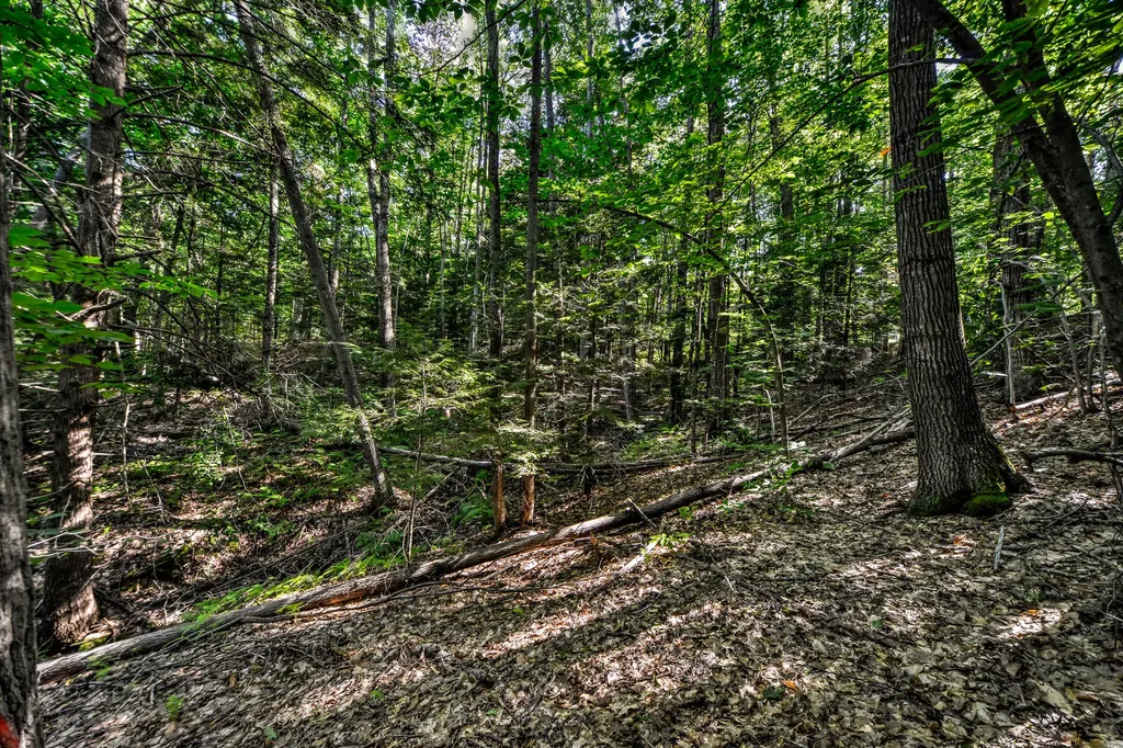 590 River Road Brunswick ME 04011