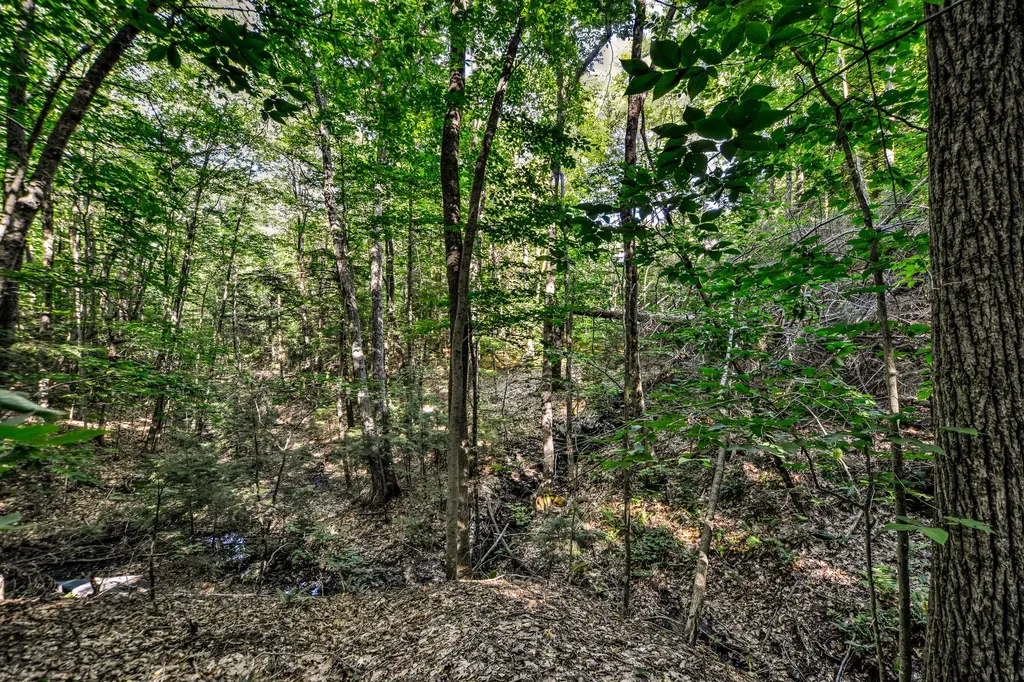 590 River Road Brunswick ME 04011