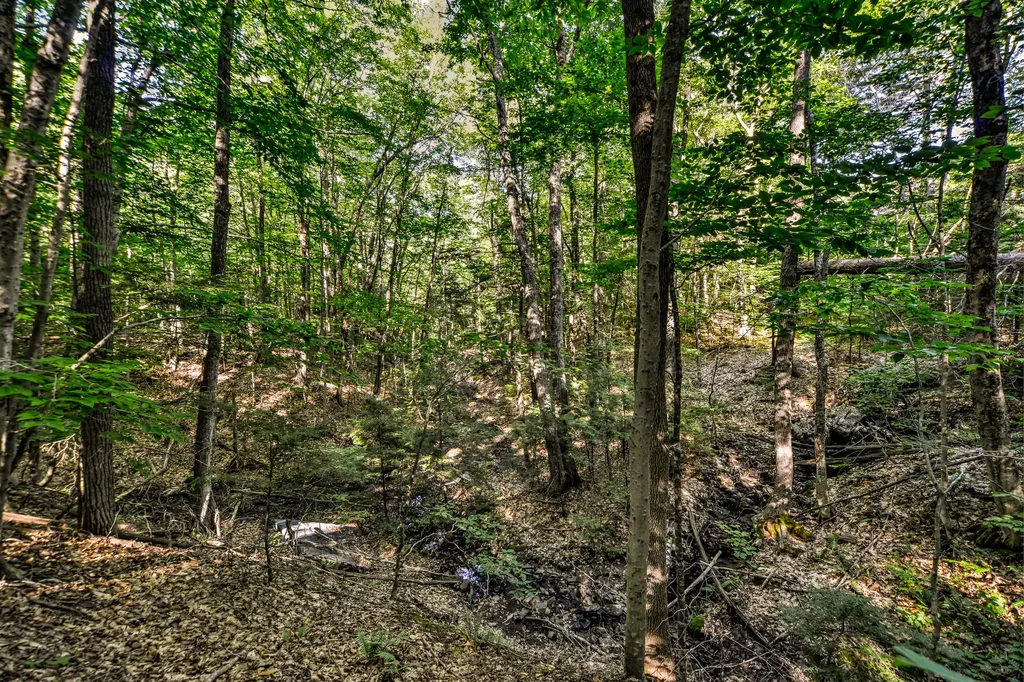 590 River Road Brunswick ME 04011
