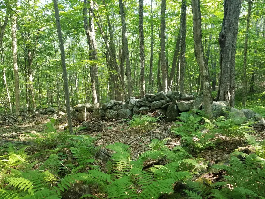 204 Nickerson Hill Road Readfield ME 04355