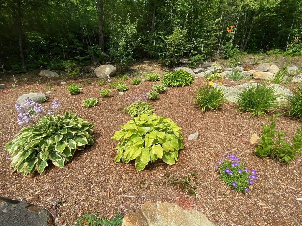 231 Hampshire Hill Road New Sharon ME 04955