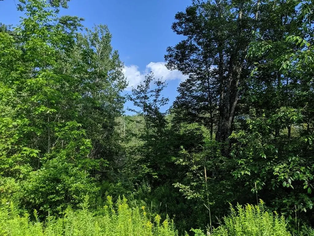 0 Deer Run Road Thomaston ME 04861