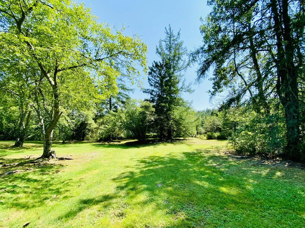 50 Eagle Cove Lane Calais ME 04619