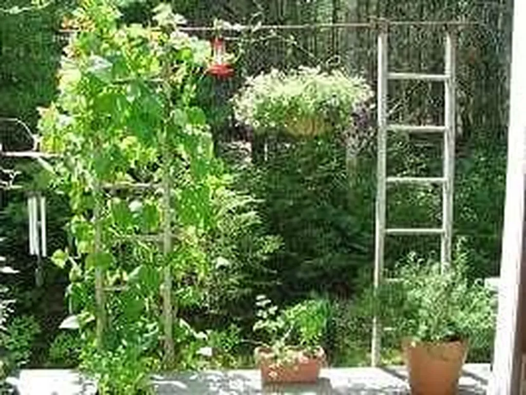 724 East Blue Hill Road Blue Hill ME 04614