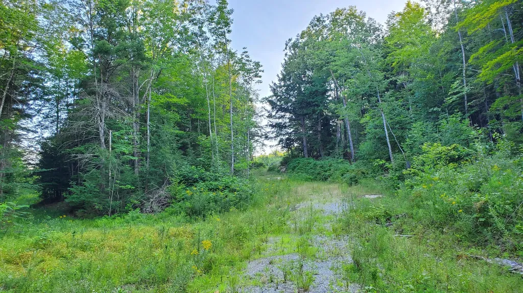 111 Fosterville Road Bridgton ME 04009