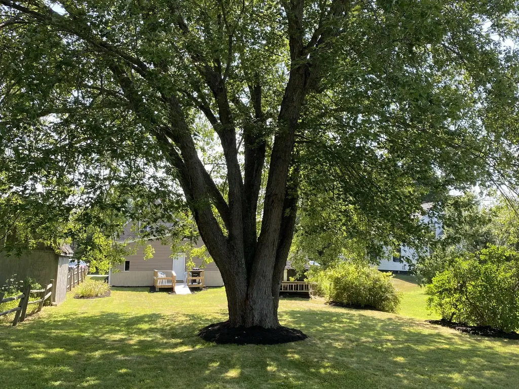 38 Beechwood Street Thomaston ME 04861
