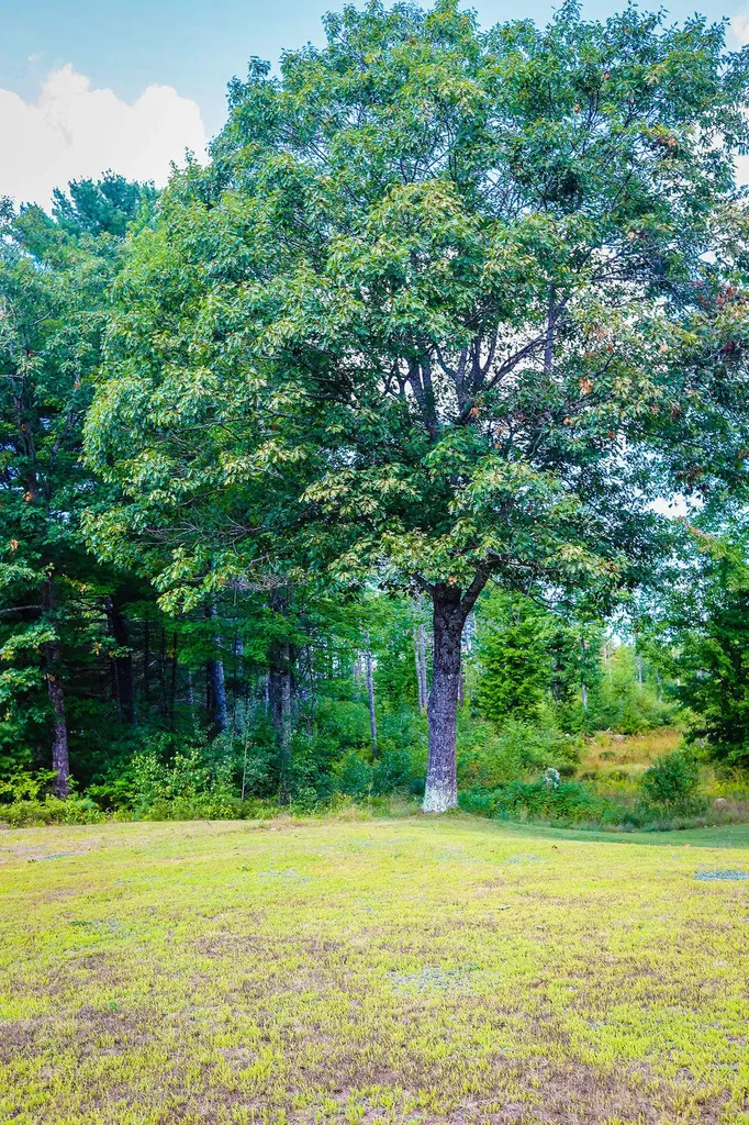 111 Tenney Hill Road Casco ME 04015