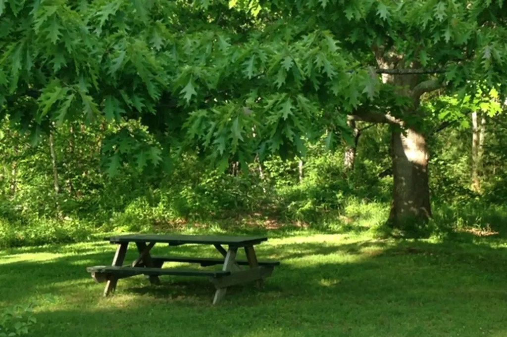 78 Old Cape Road Kennebunkport ME 04046