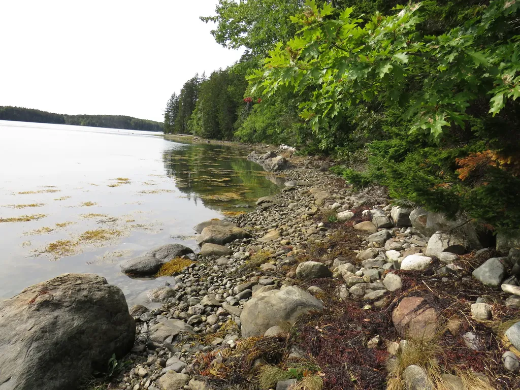 144 Treasure Point Road Saint George ME 04860