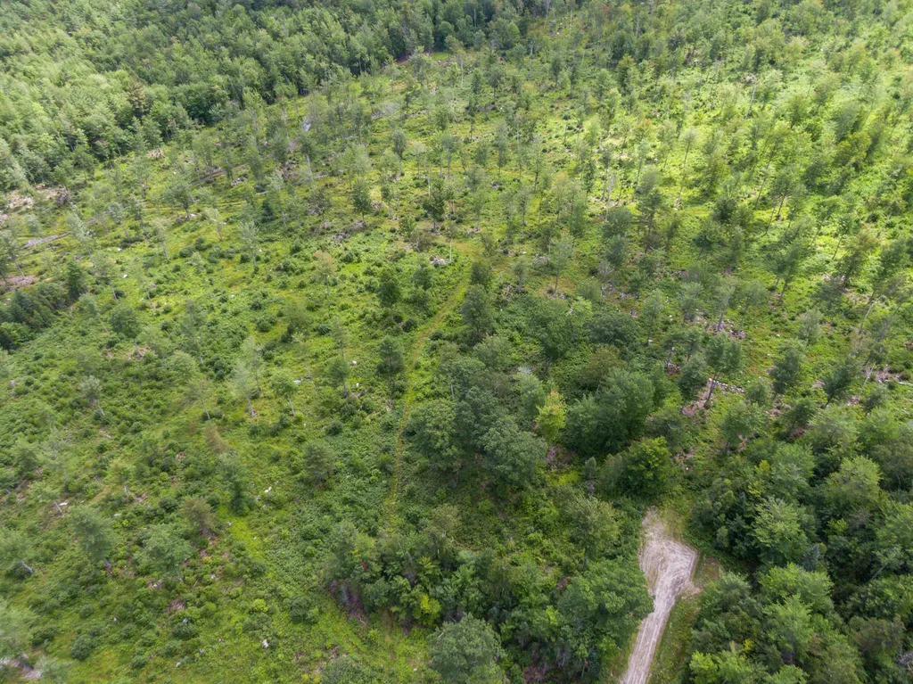 Lot 13 Brightwind Way Bethel ME 04217