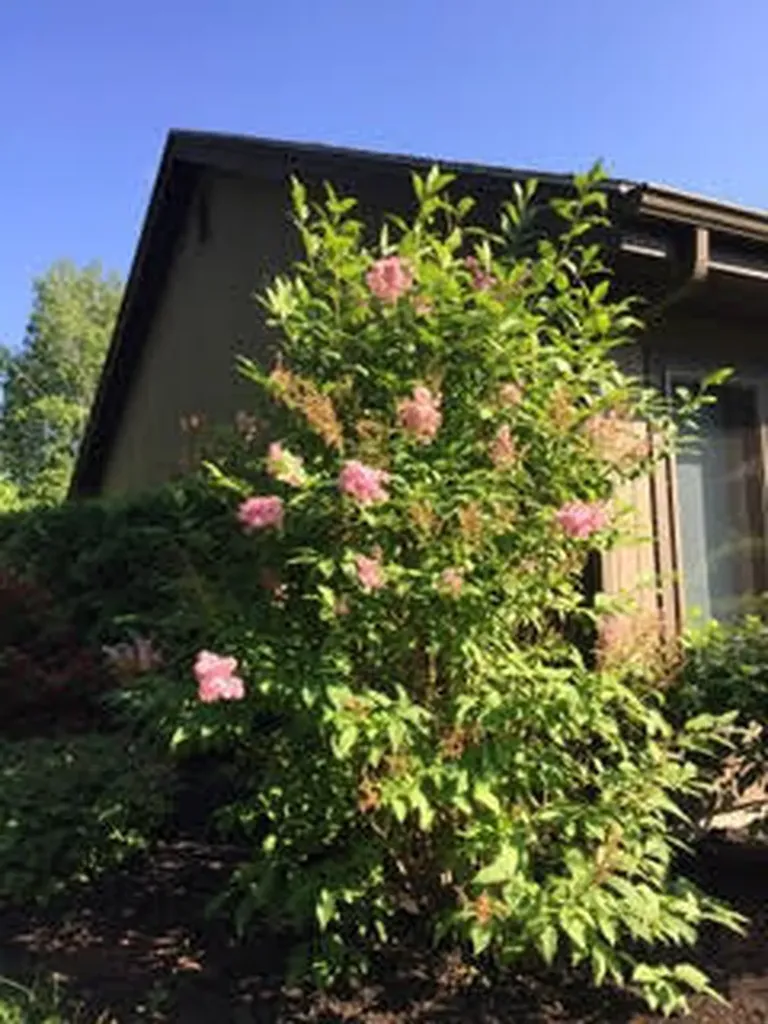 24 Fairway Drive Auburn ME 04210
