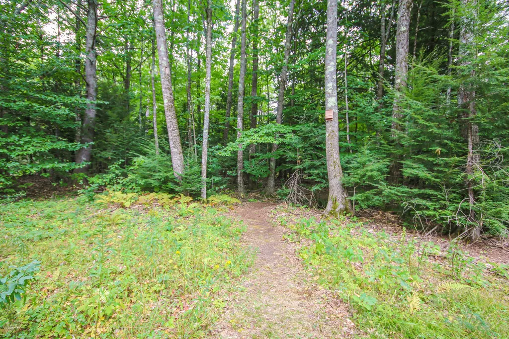 81 Tall Pine Drive Buxton ME 04093