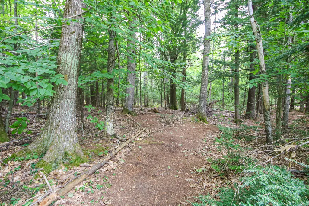 81 Tall Pine Drive Buxton ME 04093