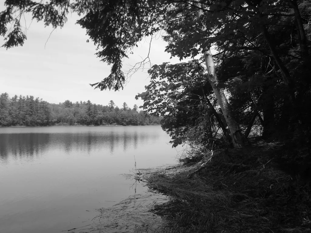 280 Beaver Ridge Road Palermo ME 04354